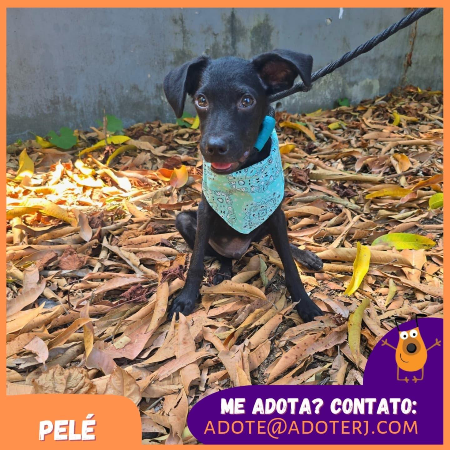 Pelé